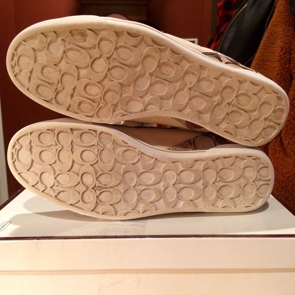 Coach Classic Canvas Sneakers - Picture 7 of 8